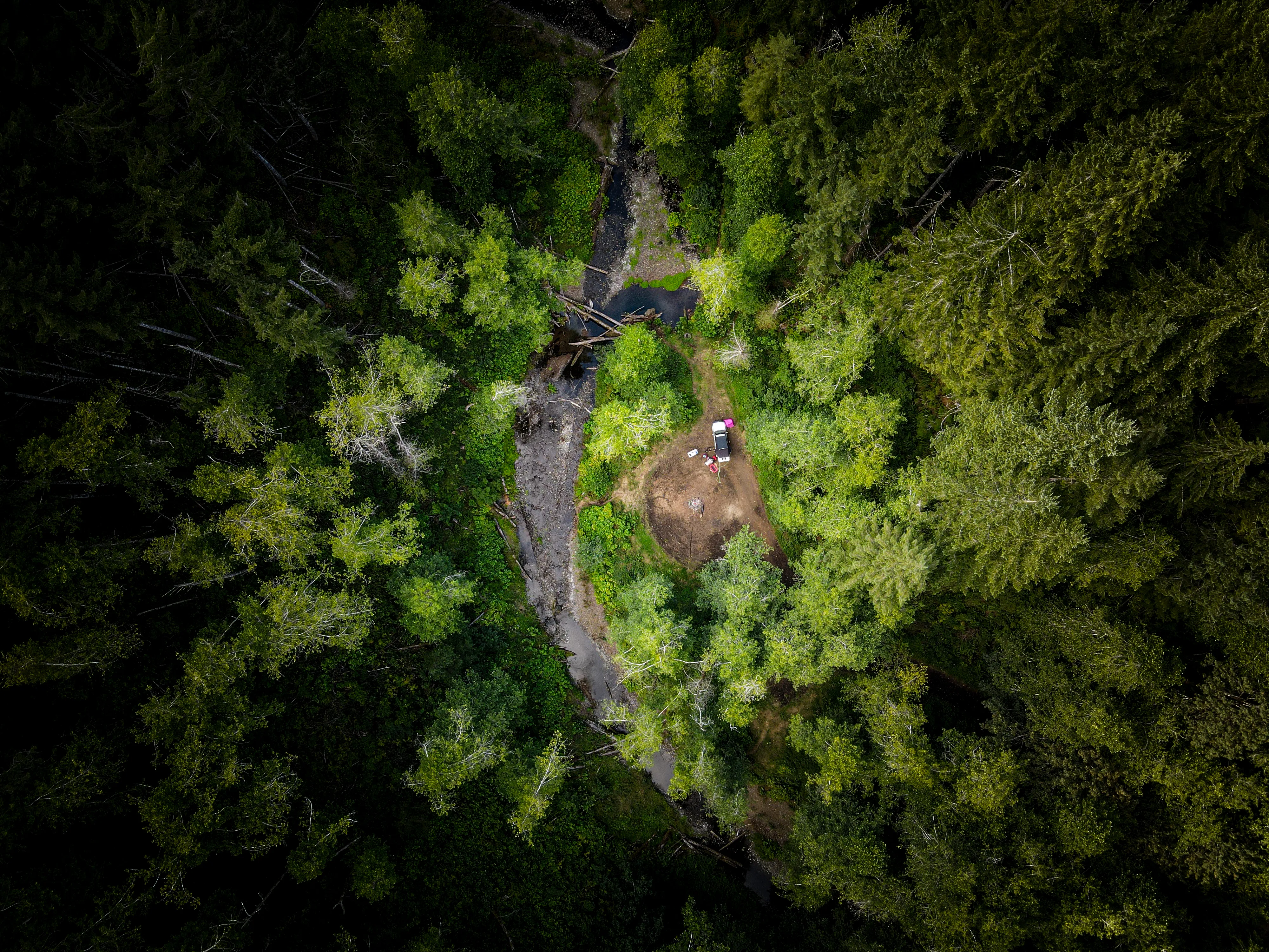 Top-down drone view of a camp beside a forest creek