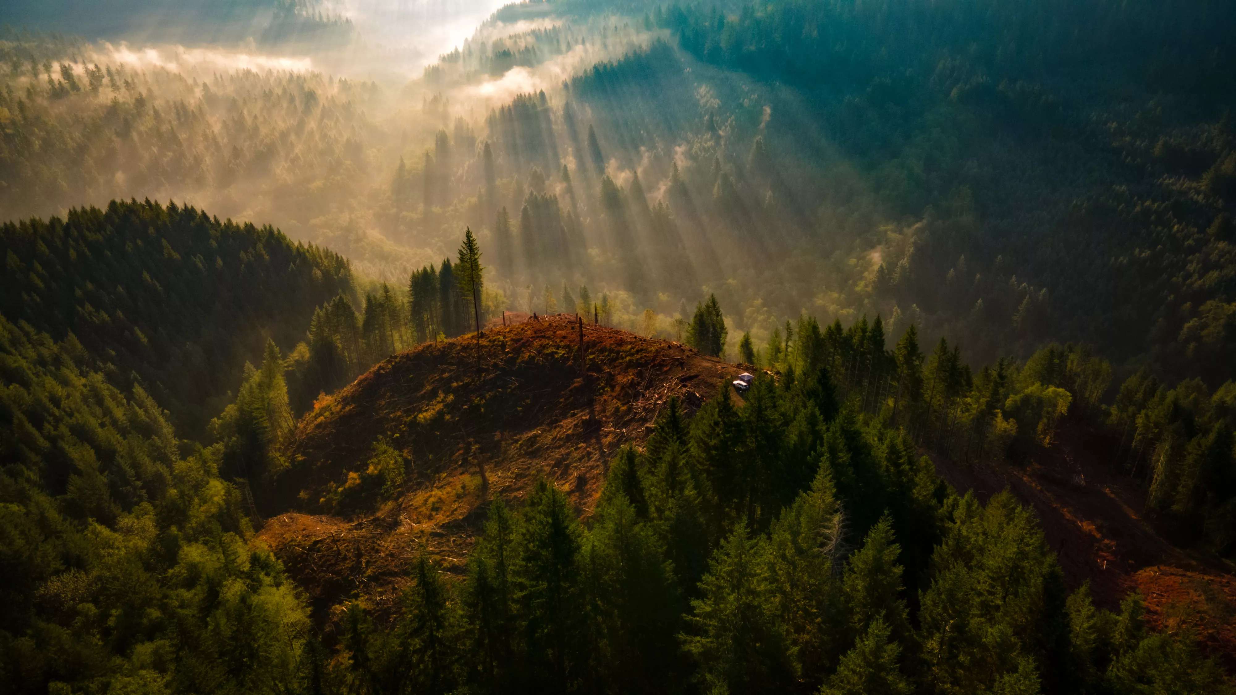 Sunbeams breaking through fog over a forested ridge