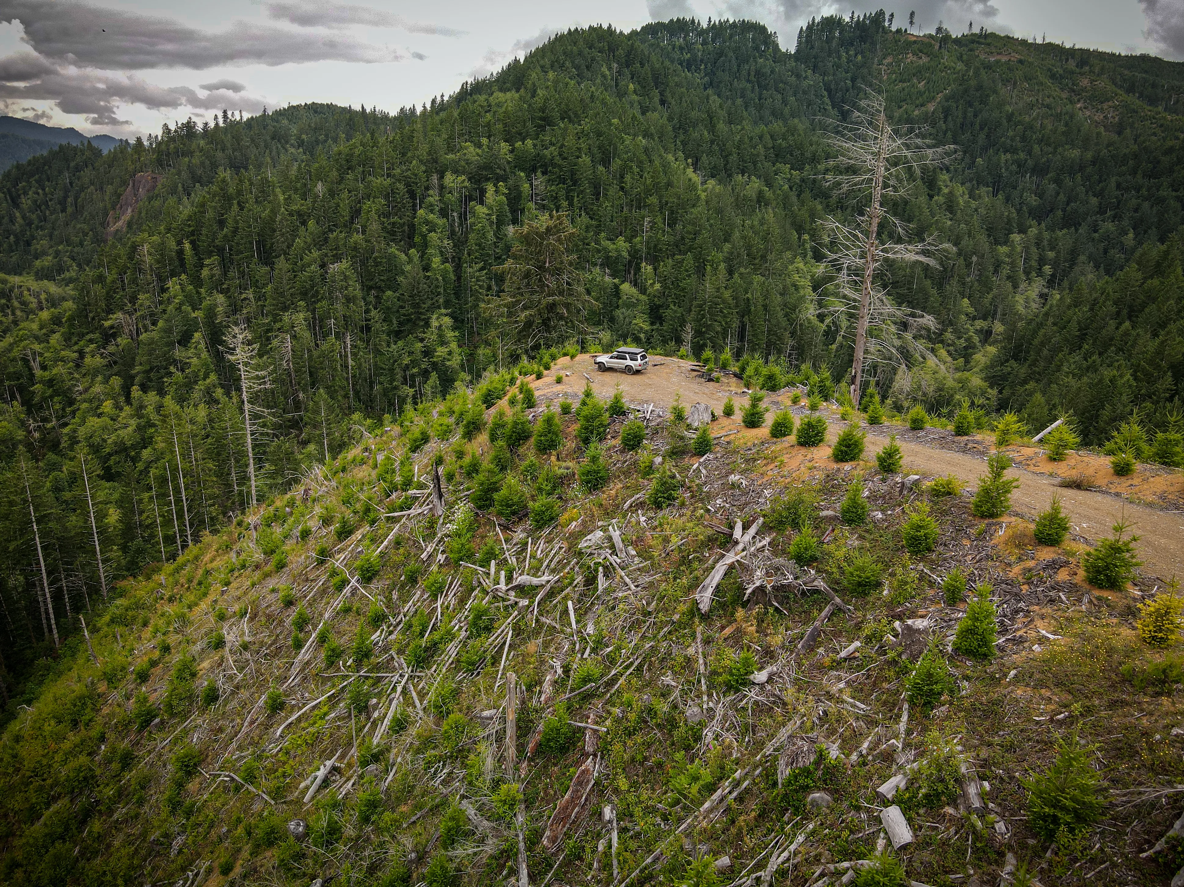 Overlander truck parked on a forested ridge camp at Triangulation Point